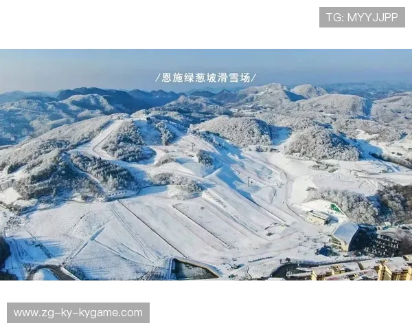 PSV中前场速度碾压对手，技术与速度的完美结合