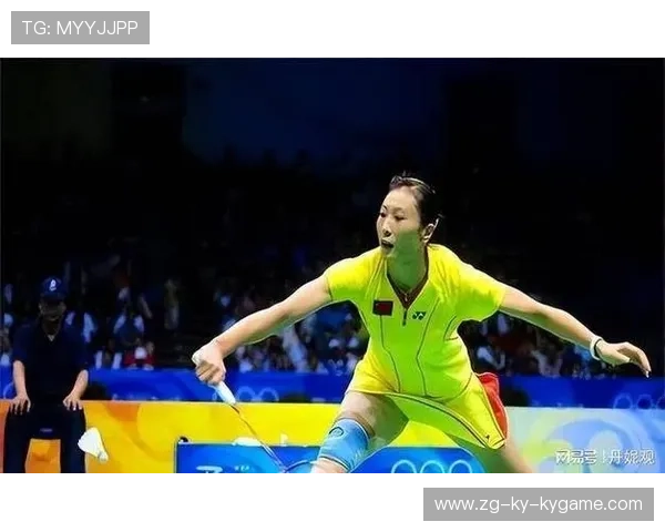 世界羽毛球巡回赛：张宁带领中国选手勇夺五枚金牌